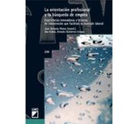 La orientación profesional y la busqueda de empleo: Experiencias innovadoras y técnicas de intervenciónque facilitan la inserción laboral: 294 (Graó Educación)