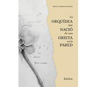 La orquídea que nació de una grieta en la pared