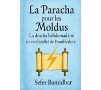La Paracha Pour les Moldus: Sefer Bamidbar