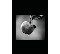 La Parole sans Héritiers: Jésus, le Royaume et la rupture avec le christianisme ontologique