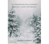 La Percezione Della Gestalt (ebook)
