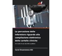 La percezione delle infermiere riguardo alla compilazione elettronica delle cartelle cliniche: Uno studio di caso descrittivo qualitativo