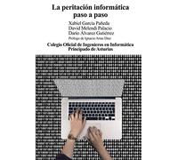 La peritación informática, paso a paso