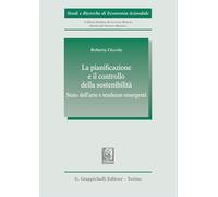 La pianificazione e il controllo della sostenibilità (Studi e ricerche di economia aziendale)