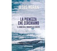 La pienezza che cerchiamo. Il dono dell’umanità di Cristo (Verso l'unità. Saggi)