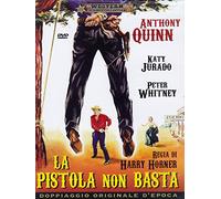 La pistola non basta [Italia] [DVD]