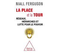 La place et la tour: Réseaux, hiérarchies et lutte pour le pouvoir