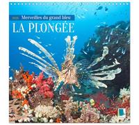 La plongée : merveilles du grand bleu (Calendrier mural carré 2026 30x30 cm) Calendrier double avec une page pour vos prises de notes: Objet de fascination : plonger dans le grand bleu