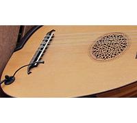 La Pluma Laúd Micrófono con Flexible Micro Cuello de Ganso por Myers Pickups