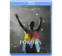 La Poursuite Du Bonheur Tour [Blu-ray]