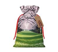 La primavera está en el aire" Bolsa de regalo reutilizable para fiestas y diseño de cordón que hacen que tu regalo sea más delicado