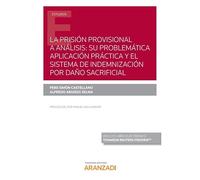 La Prisión Provisional A Análisis