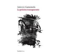La prisión transparente