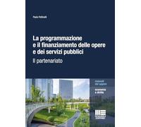 La programmazione e il finanziamento delle opere e dei servizi pubblici. Il partenariato (Manuali del sapere)