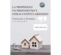 La Propiedad En Proindiviso Y Otras Cotitularidades