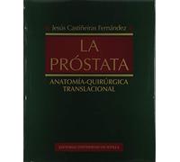 LA PRÓSTATA; ANATOMÍA-QUIRÚRGICA TRANSLACIONAL: 90 (Ciencias de la Salud)