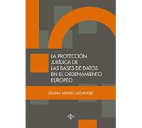 La protección jurídica de las bases de datos en el ordenamiento europeo (Derecho - Estado y Sociedad)