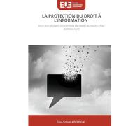 La Protection Du Droit À l'Information: FACE AUX RÉGIMES D'EXCEPTION MILITAIRES AU NIGER ET AU BURKINA FASO