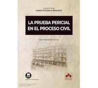 La prueba pericial en el proceso civil: 2 (Constitución y Proceso)
