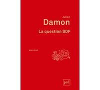 La question SDF: Critique d'une action publique