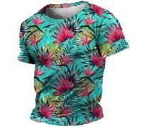 La Raison du plus fort [Francia] [DVD]