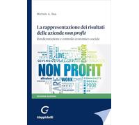 La rappresentazione dei risultati delle aziende non profit. Rendicontazione e controllo economico-sociale