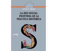La Red Social: Fronteras De La Práctica Sistemica