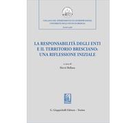 La responsabilità degli enti e il territorio bresciano: una riflessione iniziale (Collana del Dipartimento di Giurisprudenza. Università degli Studi di Brescia. Scritti scelti)