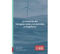 La revolución del hidrógeno verde y sus derivados en Magallanes