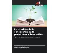La ricaduta della conoscenza sulla performance innovativa: Nelle organizzazioni del ventunesimo secolo
