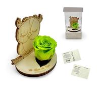 La Rosa dei Sogni Rosa estabilizada con búho de madera tallada a láser - Flor natural de larga duración, caja elegante - Made in Italy (verde)