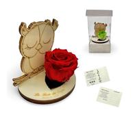 La Rosa dei Sogni Rosa estabilizada con búho de madera tallada a láser - Flor natural de larga duración, caja elegante - Made in Italy (Rojo)