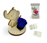 La Rosa dei Sogni Rosa estabilizada con elefante de madera tallada a láser - Flor natural de larga duración, caja elegante - Made in Italy (azul)