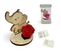 La Rosa dei Sogni Rosa estabilizada con elefante de madera tallada a láser, flor natural de larga duración, caja elegante, fabricada en Italia (rojo)