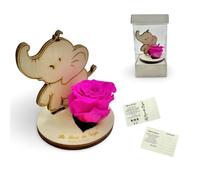 La Rosa dei Sogni Rosa estabilizada con elefante de madera tallada a láser - Flor natural de larga duración, caja elegante - Made in Italy (Fucsia)