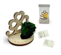 La Rosa dei Sogni Rosa estabilizada con trébol de cuatro hojas de madera tallado a láser - Flor natural de larga duración - Made in Italy (verde)