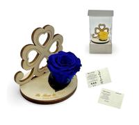 La Rosa dei Sogni Rosa estabilizada con trébol de cuatro hojas de madera tallado a láser - Flor natural de larga duración - Made in Italy (azul)