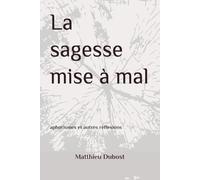 La sagesse mise à mal: aphorismes et autres réflexions