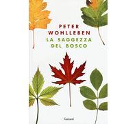 La saggezza del bosco (Saggi)