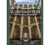 La salita dei Vergini: Storia del palazzo dello spagnolo