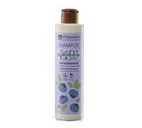 La Saponaria | Champú Antioxidante - Cabellos blancos, grises o apagados. Arándano bio y arginina, ayuda a combatir los radicales libres, aporta brillo y vitalidad, 200 ml. (Arándano Azul)