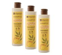 La Saponaria | Champú Bio Equilibrante con salvia y limón - Champú sin sulfatos ni parabenos, Purifica y equilibra el cuero cabelludo graso, dejando el cabello fresco y ligero. 200 ml. (Paquete de 3)