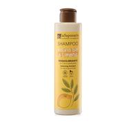 La Saponaria | Champú Bio Equilibrante con salvia y limón - Champú sin sulfatos ni parabenos, Purifica y equilibra el cuero cabelludo graso, dejando el cabello fresco y ligero. 200 ml.