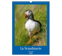 La Scandinavie et ses oiseaux (Calendrier mural 2026 DIN A3 horizontal), CALVENDO calendrier mensuel: A la découverte de la faune scandinave