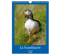 La Scandinavie et ses oiseaux (Calendrier mural 2026 DIN A4 horizontal), CALVENDO calendrier mensuel: A la découverte de la faune scandinave