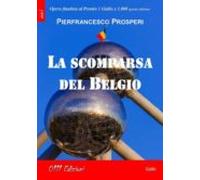 La Scomparsa Del Belgio (ebook)