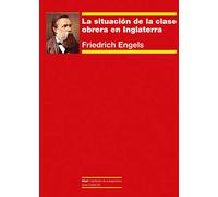 La Situación De La clase obrera en Inglaterra: 113 (Cuestiones de antagonismo)