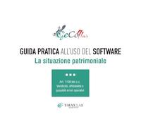 La situazione patrimoniale: Guida all'uso del software GeCoMAX (GeCoMAX | il software per Amministratori di Condominio)
