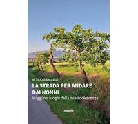 La strada per andare dai nonni. Viaggi nei luoghi della mia adolescenza (Nuove voci)