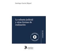 La subasta judicial y otras formas de realización